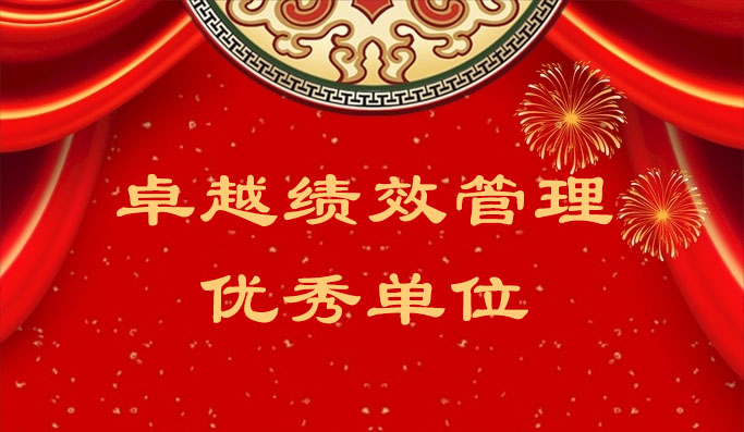 南宫NG28获评“2023 年度东莞市导入卓越绩效治理优异单位”